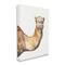 Stupell Industries Camel Side Portrait Desert Animal Tan White Canvas Wall Art